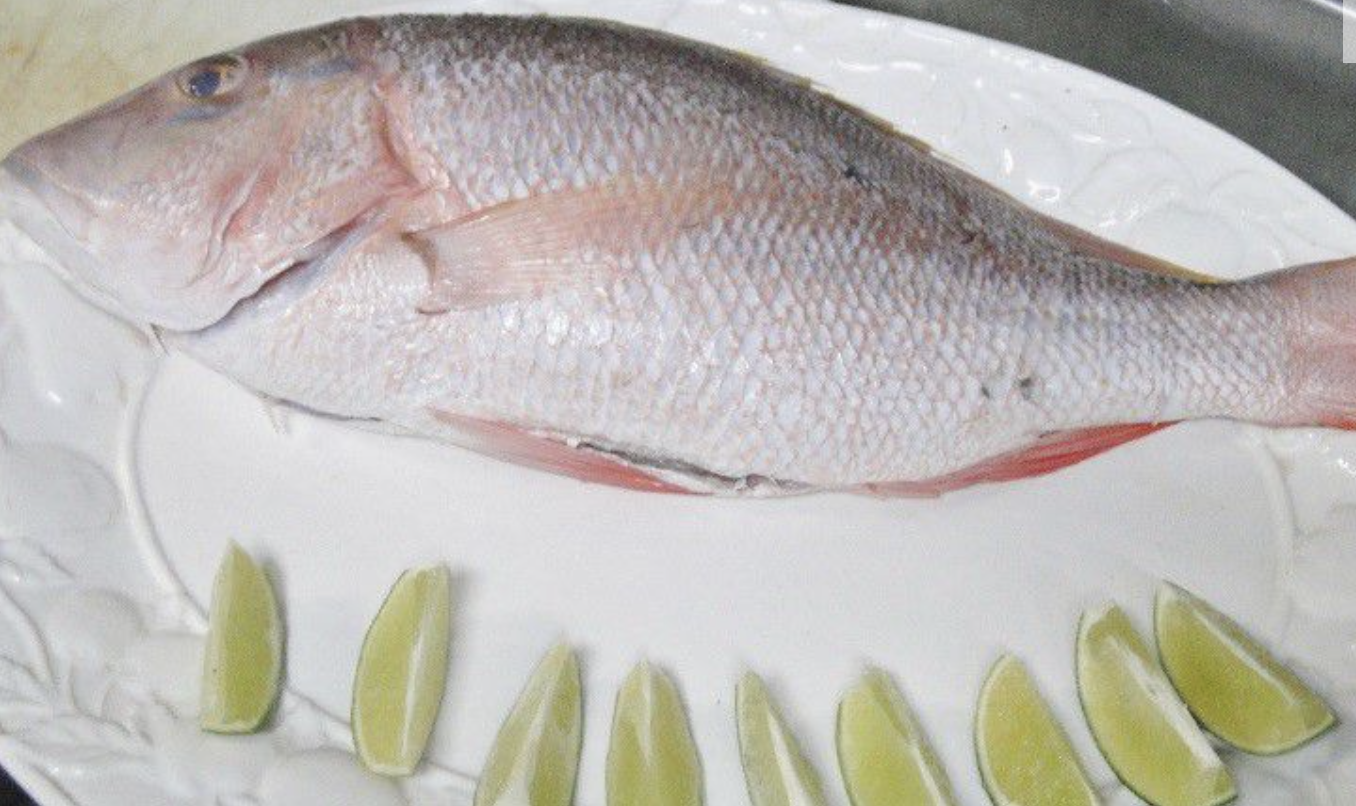 Boaters Grill snapper .png